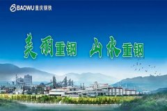 【重慶鋼鐵股份有限公司煉鋼廠(chǎng)項(xiàng)